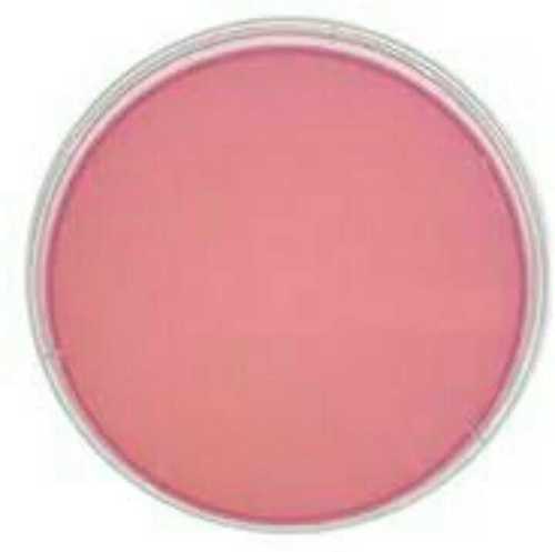 Môi Trường MacConkey Agar